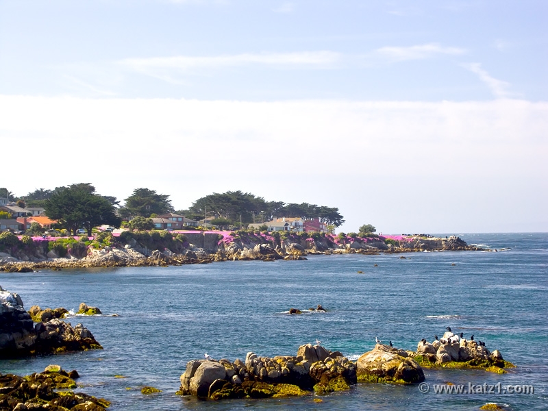 Monterey 2